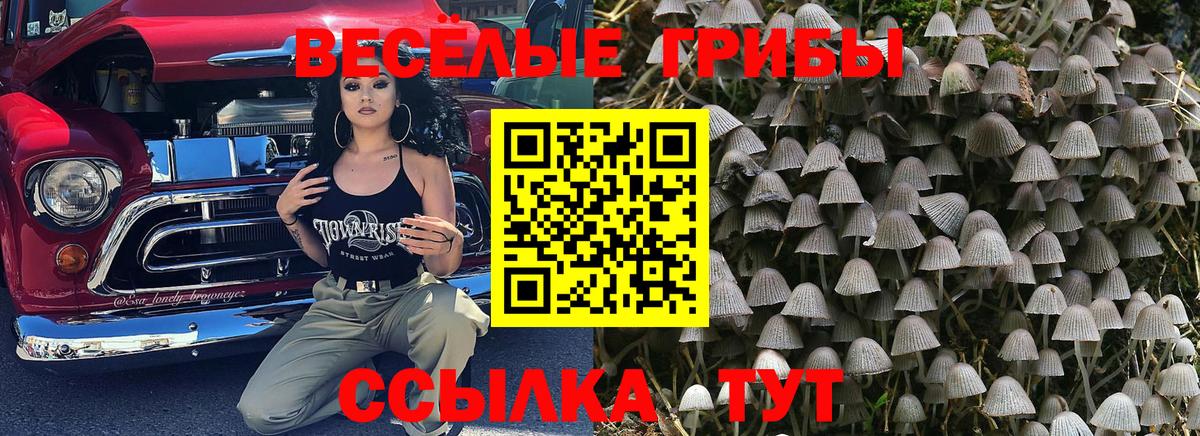 Псилоцибиновые грибы Magic Shrooms  Вход с VPN  Галлюциногенные грибы мицелий  Изобильный 